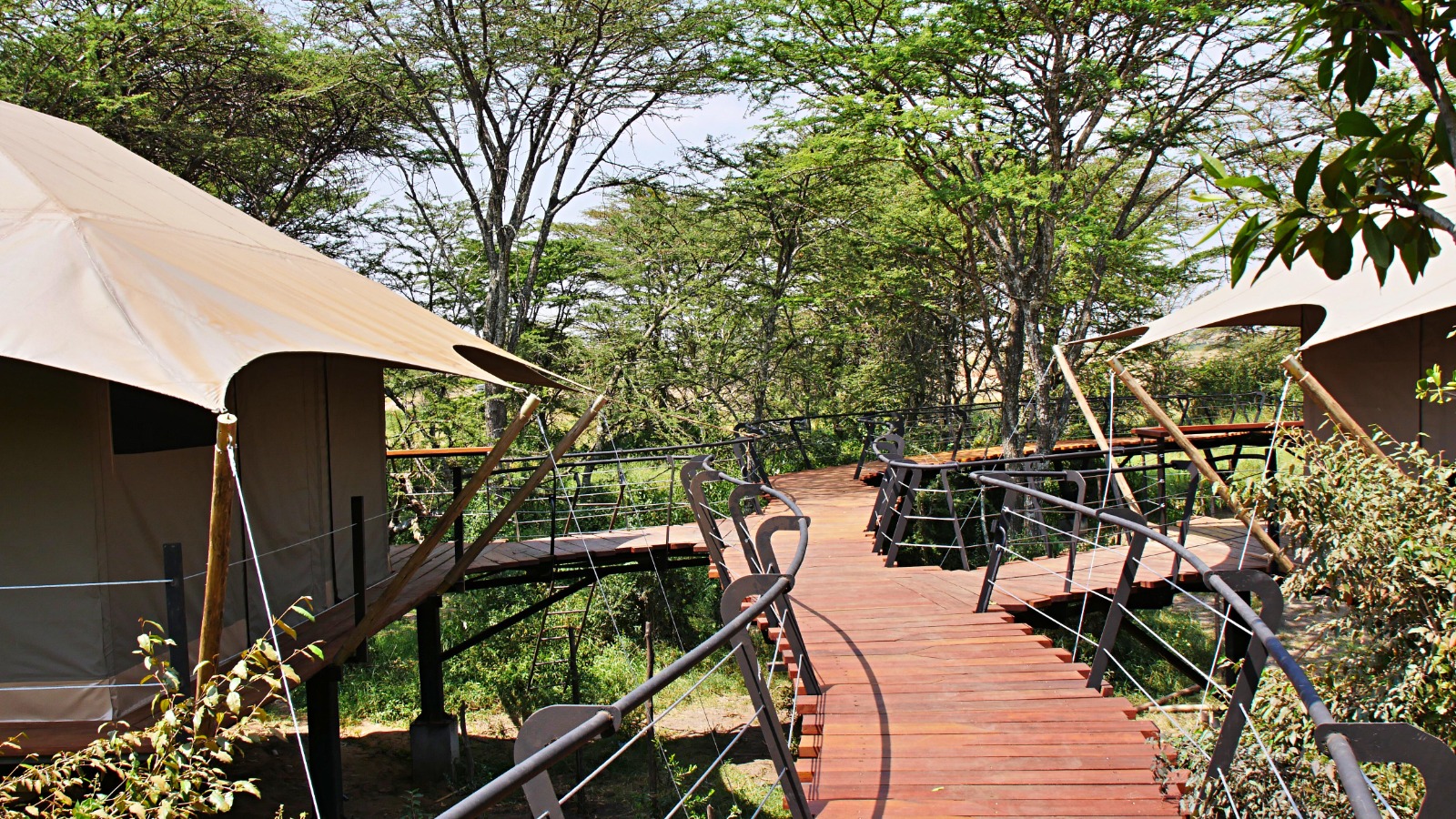 Raised Timber Pathway - Image 4