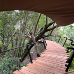 Raised Timber Pathway
