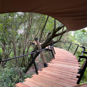 Raised Timber Pathway