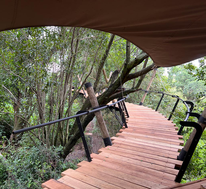 Raised Timber Pathway